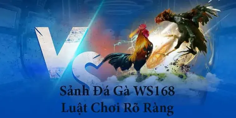 Bí Kíp Chinh Phục Sàn Đá Gà WS168 Tại 1xBit Cho Mọi Kê Thủ