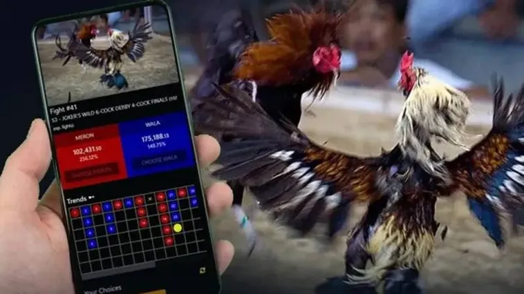 Bí Kíp Chinh Phục Đấu Trường Đá Gà 1xBit Giúp Bạn Trở Thành Cao Thủ Bất Bại